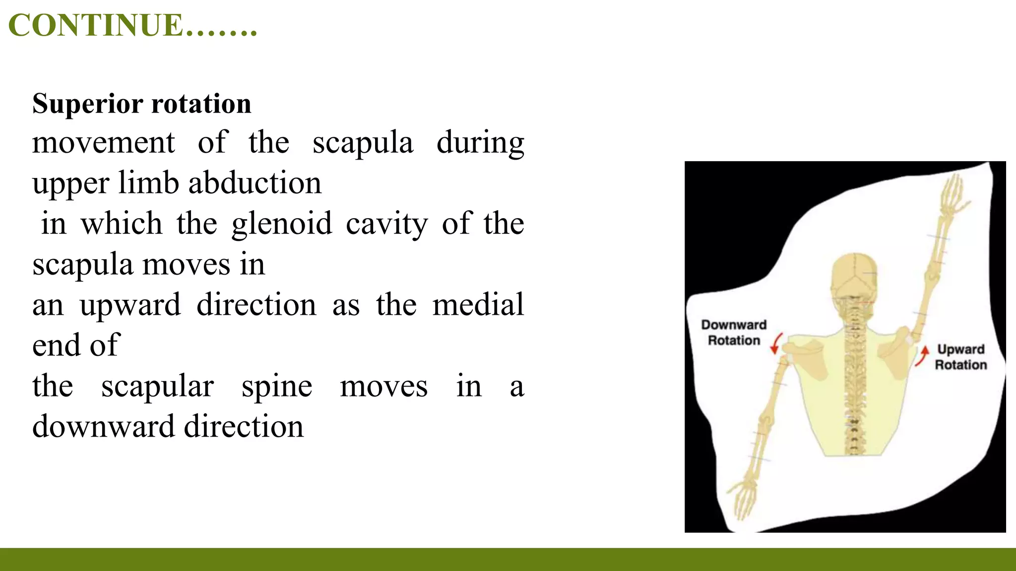 Range of motion exercises & | PPTX