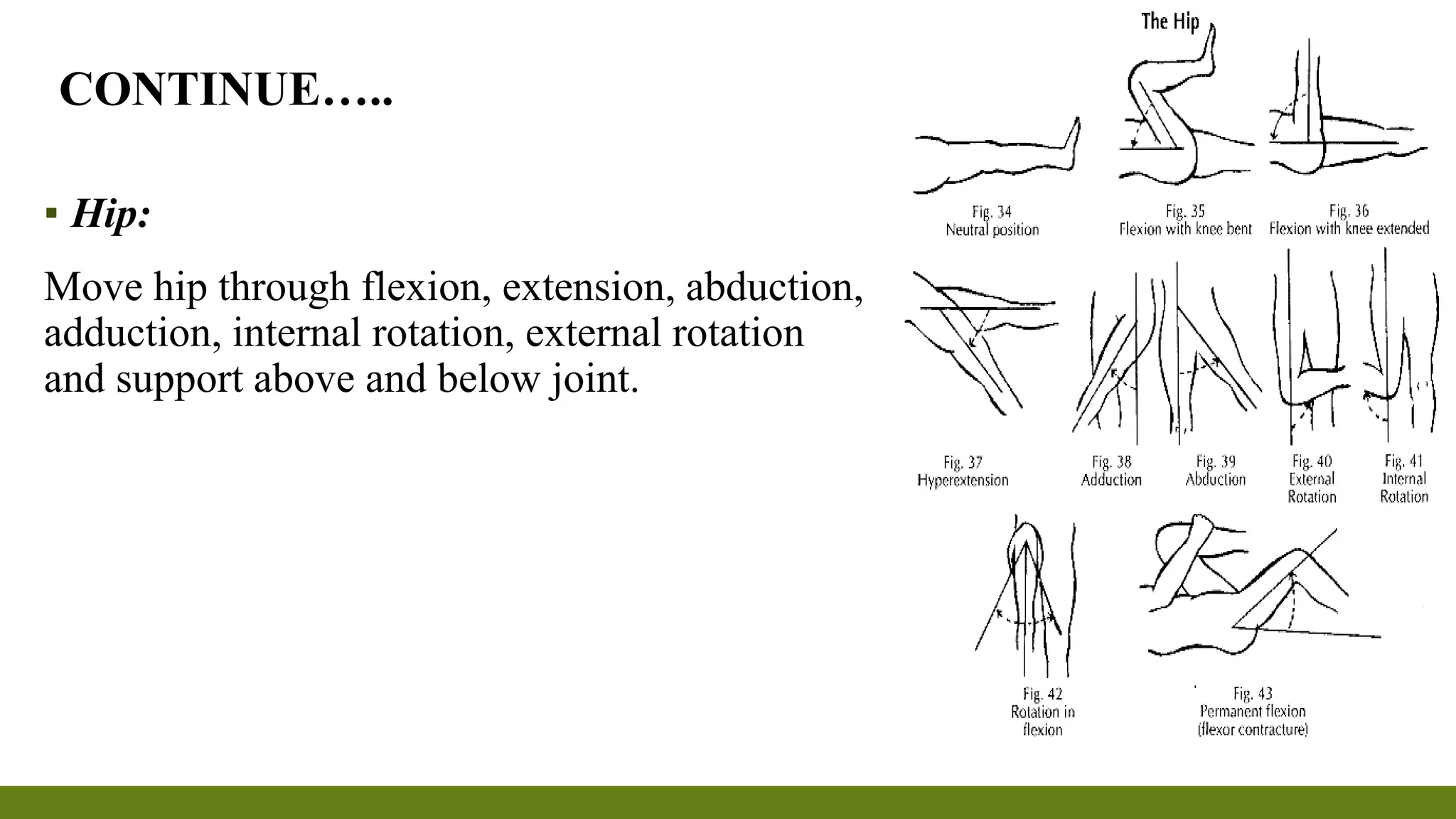 Range of motion exercises & | PPTX