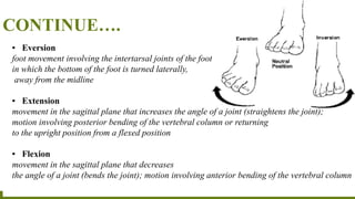 CONTINUE….
▪ Eversion
foot movement involving the intertarsal joints of the foot
in which the bottom of the foot is turned laterally,
away from the midline
▪ Extension
movement in the sagittal plane that increases the angle of a joint (straightens the joint);
motion involving posterior bending of the vertebral column or returning
to the upright position from a flexed position
▪ Flexion
movement in the sagittal plane that decreases
the angle of a joint (bends the joint); motion involving anterior bending of the vertebral column
 