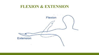 FLEXION & EXTENSION
 