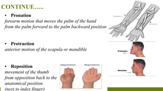 CONTINUE…..
▪ Pronation
forearm motion that moves the palm of the hand
from the palm forward to the palm backward position
▪ Protraction
anterior motion of the scapula or mandible
▪ Reposition
movement of the thumb
from opposition back to the
anatomical position
(next to index finger)
 