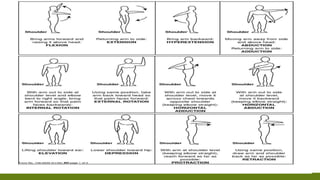 Full body range of motion exercises hotsell