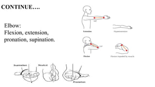 Elbow:
Flexion, extension,
pronation, supination.
CONTINUE….
 