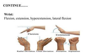 Wrist:
Flexion, extension, hyperextension, lateral flexion
CONTINUE……
 