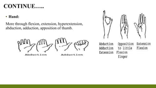 ▪ Hand:
More through flexion, extension, hyperextension,
abduction, adduction, apposition of thumb.
CONTINUE…..
 