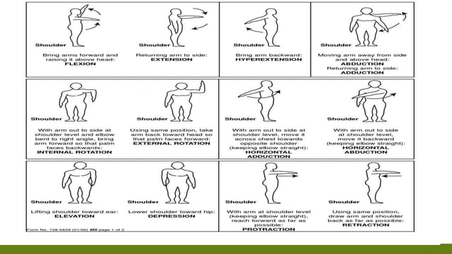 Range Of Motion Exercises Range Of Motion Exercises