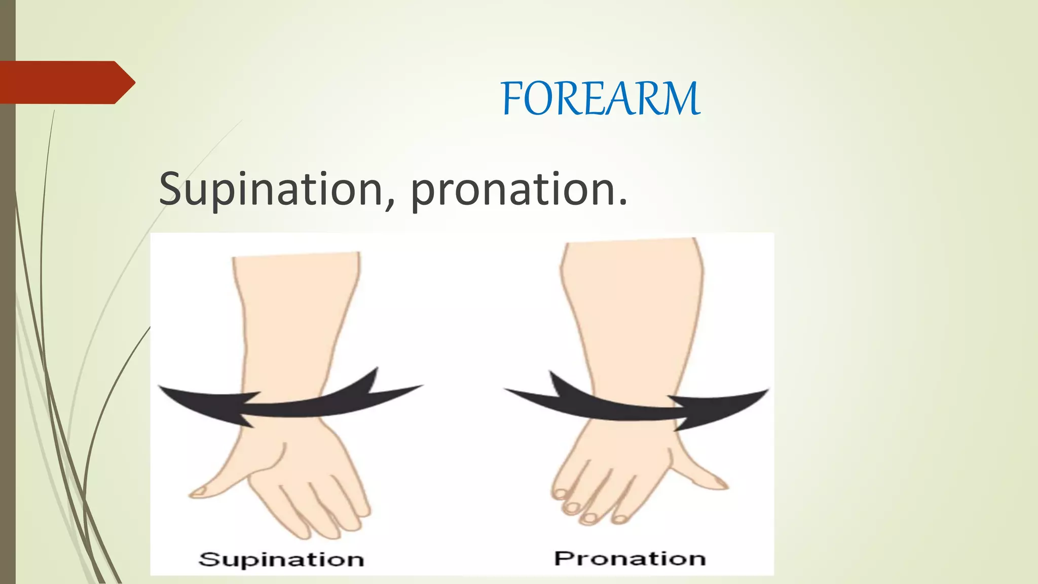 RANGE OF MOTION PT.pptx