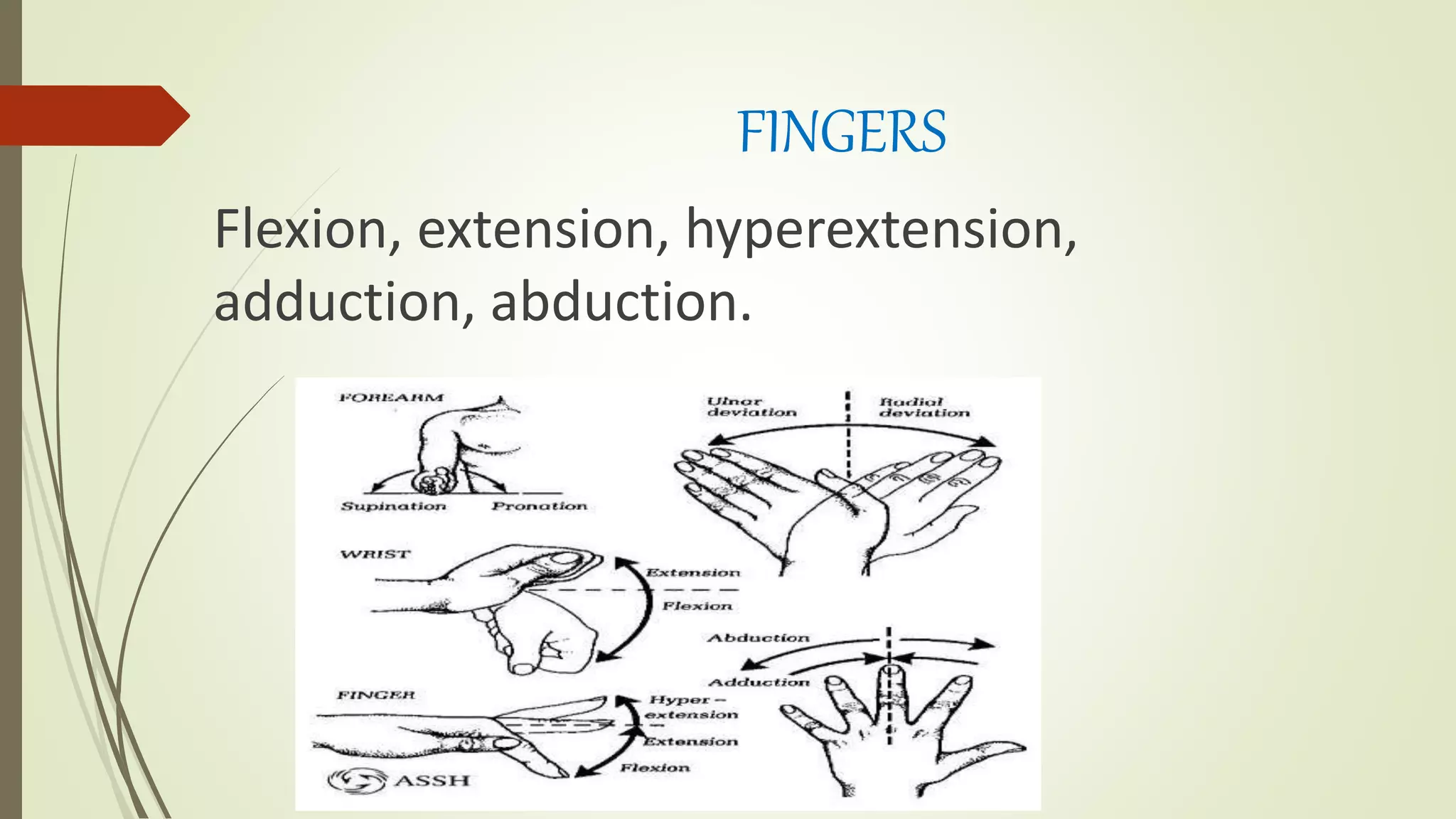Finger Ranges RANGE OF MOTION PT.pptx