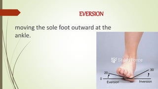 Ankle Rotation Rom RANGE OF MOTION PT.pptx