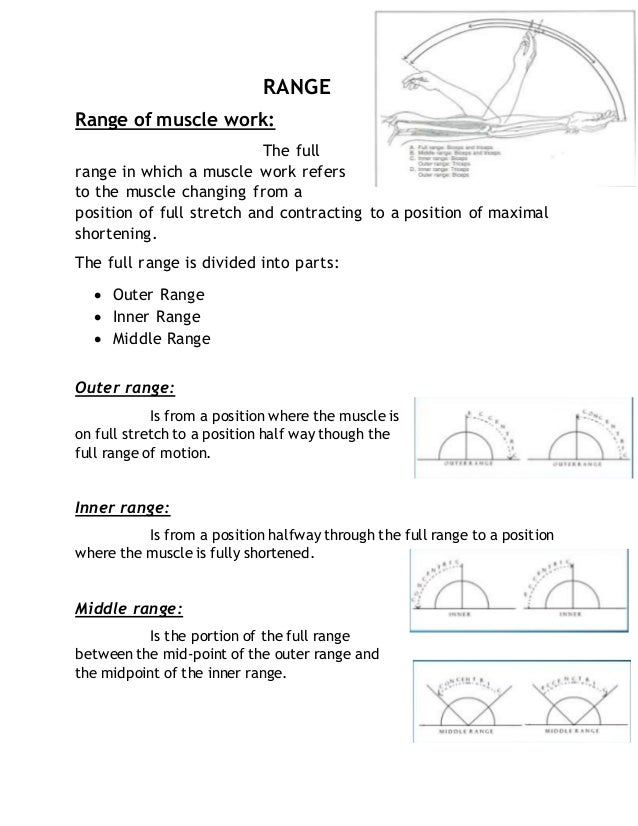 Range of muscle work