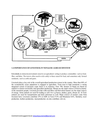 Commentand suggestmeat: deepakgautamiof@gmail.com
1.4 IMPORTANCE OF LIVESTOCK IN NEPALESE AGRO-ECOSYSTEM
Livestock are domesticated animals raised in an agricultural setting to produce commodities such as food,
fiber, and labor. The term is often used to refer solely to those raised for food, and sometimes only farmed
ruminants, such as cattle and goats.
Livestock plays a key role in the overall agricultural production system in the country. More than 80% of
the economically active population is engaged in agriculture. From terai to high mountains a strong
integrated system of livestock crops forest is in existence. Over 70% farmers of Nepal are based on
animals to sustain soil fertility and agriculture production. Sheeps are the major sources of local economy
of the mountains people. Livestock provides milk and fibres and their dried manure are the major sources
of energy. Some animals are used for trading as well. For e.g horses, donkey, goats, sheeps etc. In Terai
animals are used for transportation and land cultivation as well. Major sources of manure come from
livestock farm. Livestock contribute 53% to GDP, in Terai 27.6% and Mountains 8.6%. Similarly, wool
production, leathers production, meat production etc also contribute a lot etc.
 