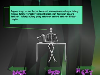 Bagian yang terasa keras tersebut menunjukkan adanya tulang. 
Tulang-tulang tersebut bersambungan dan tersusun secara 
teratur. Tulang-tulang yang tersusun secara teratur disebut 
rangka. 
 