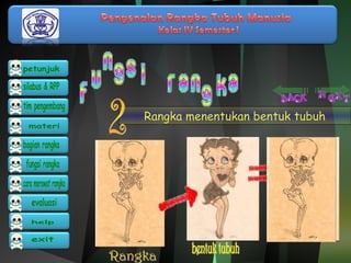 Rangka menentukan bentuk tubuh 
 