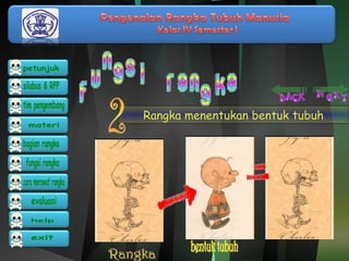 Rangka menentukan bentuk tubuh 
 