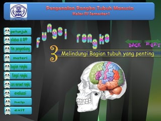 Melindungi Bagian tubuh yang penting 
 