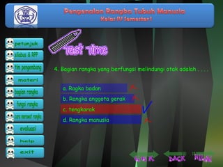 4. Bagian rangka yang berfungsi melindungi otak adalah . . . . 
a. Ragka badan 
b. Rangka anggota gerak 
c. tengkorak 
d. Rangka manusia 
 