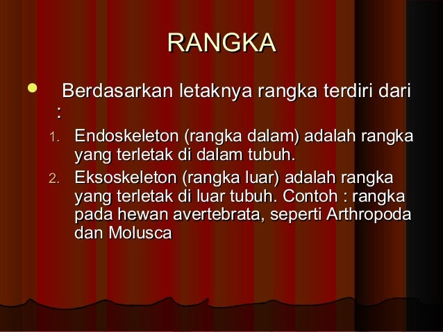 Rangka otot1 Rangka otot1