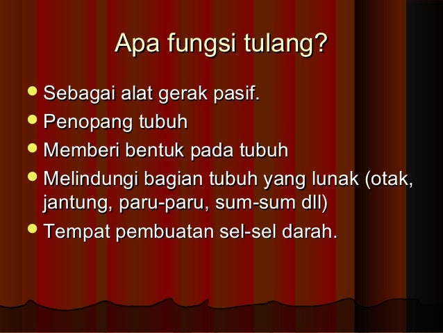 Rangka otot1 Rangka otot1