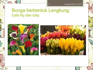 Bunga berbentuk Lengkung:
Cala lily dan tulip
Tuesday, March 12, 201915
 