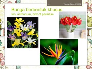 Bunga berbentuk khusus:
Iris, anthurium, bird of paradise
Tuesday, March 12, 201918
 