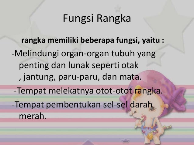 Rangka Manusia