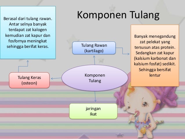 Rangka Manusia 31622026