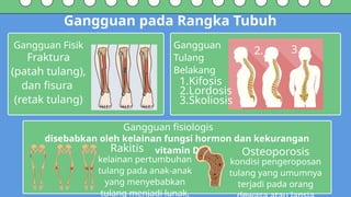 Orang Rakitis Comprehensive Overview of Human Skeletal and Muscular Systems | PPTX