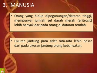 3. MANUSIA 
• Orang yang hidup dipegunungan/dataran tinggi, 
mempunyai jumlah sel darah merah (eritrosit) 
lebih banyak daripada orang di dataran rendah. 
• Ukuran jantung para atlet rata-rata lebih besar 
dari pada ukuran jantung orang kebanyakan. 
 