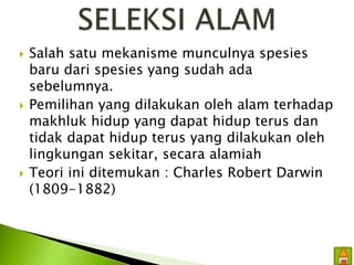  Salah satu mekanisme munculnya spesies 
baru dari spesies yang sudah ada 
sebelumnya. 
 Pemilihan yang dilakukan oleh alam terhadap 
makhluk hidup yang dapat hidup terus dan 
tidak dapat hidup terus yang dilakukan oleh 
lingkungan sekitar, secara alamiah 
 Teori ini ditemukan : Charles Robert Darwin 
(1809-1882) 
 