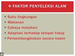  FAKTOR PENYELEKSI ALAM 
 Suhu lingkungan 
 Makanan 
 Cahaya matahari 
 Adaptasi terhadap tempat hidup 
 Perkembangbiakan secara kawin 
 