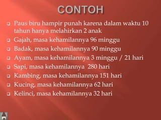  Paus biru hampir punah karena dalam waktu 10 
tahun hanya melahirkan 2 anak 
 Gajah, masa kehamilannya 96 minggu 
 Badak, masa kehamilannya 90 minggu 
 Ayam, masa kehamilannya 3 minggu / 21 hari 
 Sapi, masa kehamilannya 280 hari 
 Kambing, masa kehamilannya 151 hari 
 Kucing, masa kehamilannya 62 hari 
 Kelinci, masa kehamilannya 32 hari 
 