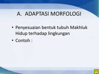 A. ADAPTASI MORFOLOGI 
• Penyesuaian bentuk tubuh Makhluk 
Hidup terhadap lingkungan 
• Contoh : 
 