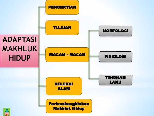 KELANGSUNGAN MAKHLUK HIDUP