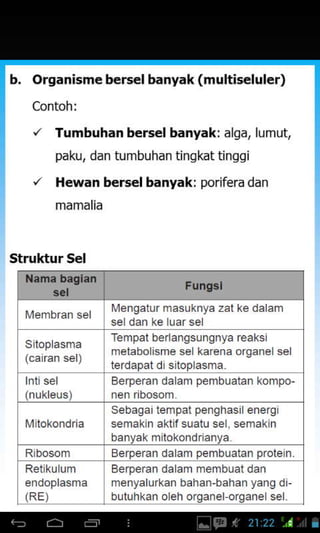 b. orsanisme bersel banyak (multiseluler)
Struktur Sel
Tumbuhan bersel banyak: a sa, lumut,
paku, dan tumbuhan tingkat tinggi
Hewan berselbanyak: porfera dan
mamalia
[,]engat!r mas!kfl. zat ke da anl
Tenpal ber args!rgrya reaks
n etabo snre se krena orltane se
Berperan da arr perrbuatan (onrpo-
Sebaqa tenpat perqhas ererg
sefi.k..<tfs!.:! se sen.k i
banlak mtokordran!a
Berperan da an pembuatan prole I
Berperan da an nremblal daf
menlalurkan behan bahar yang d
b!tllrkan oer orqafe crqare se
 