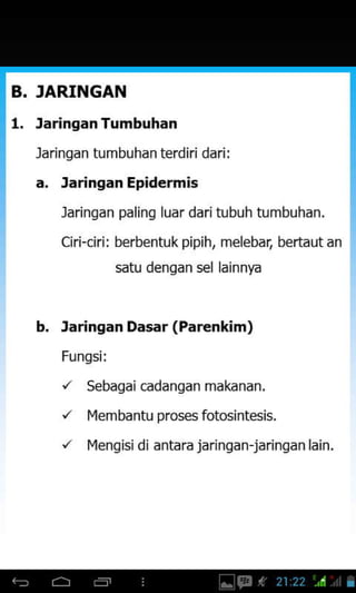 B. JARINGAN
Jaringan Tumbuhan
Jaringan tumbuhan terdiri
a. Jaringan Epidermis
Jaringan paling luar daritubuh tumbuhan.
chi-chi: berbentuk pipih, melebai bertaut an
satu denqan sel lainnya
b. Jaringan Dasar (Par€nkim)
Fungsi:
/ sebagaicadanganmakanan.
r' Membanfu proses fotosintesis.
r' Menqisidi antara jarinqan-jarinqan lain.
 