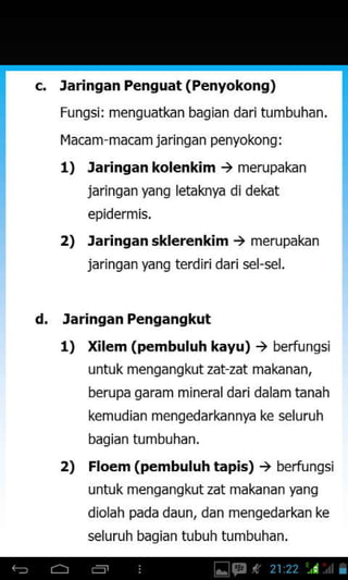 c. Jaringan Penguat (Penyokong)
Fungsi: menguatkan bagian dari hrmbuhan.
f4acam macam jaringan penyokong:
1) Jaringan kolenkim ) merupakan
jaringan yang letaknya didekat
epidermis.
2) Jaringan sklerenkim ) merupakan
jarinqan yang terdiri dari seFsel.
d. Jaringan Pengangkut
1) xilem (pembuluh kayu) , berfungsj
untuk mengangkut zat zat makanan,
berupa garam mineraldari dalam tanah
kemudian mengedarkannya ke seluruh
bagian tumbuhan.
2) Floem (pembuluh tapis) ) berfungsi
untuk mengangkut zat makanan yang
diolah pada daun, dan mengedarkan ke
seluruh baqian tubuh tumbuhan.
 
