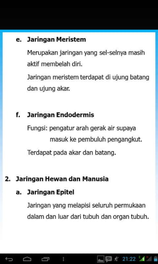 e. Jaringan ileristem
Ilerupakan jarinqan yanq sel-selnya masih
aktif membelah diri.
laringan meristem terdapat
dan ujung akar
ujunq batanq
f. Jaringan Endodermis
Fungsi: pengatur arah gerak air supaya
masuk ke pembuluh pengangkut.
Terdapat pada akar dan batang.
2. Jaringan Hewan dan Manusia
a. Jaringan Epitel
laringan yang melapisi seluruh permukaan
dalam dan luar daritubuh dan organ tubuh.
 