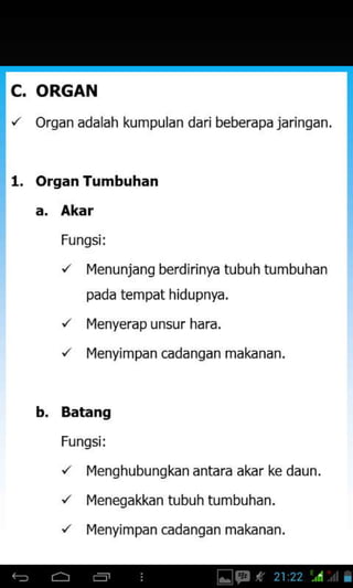 C. ORGAN
orqan adalah kumpulan daribeberapa jaringan.
organ Tumbuhan
a. Akar
Fungsi:
'/ Menunjang berdhinya tubuh tumbuhan
pada tempat hidupnya.
/ Menyerapunsur hara.
/ Menyimpan cadanqan makanan.
b. Batang
Fungsi:
', Menghubungkan antara akar ke daun.
'/ Menegakkan tubuh tumbuhan.
'/ Menyimpan cadanqan makanan.
 