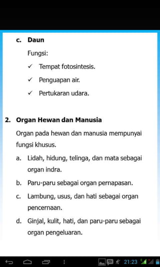 c. Daun
Fungsi:
r' Tempat fotosintesis.
'/ Penguapan air
,/ Perhrkaran rrdara.
2. Organ Hewan dan i{anusia
organ pada hewan dan manusia mempunyai
fungsi khusus.
a. I idah, hidung, relinga, dan maLa sebagai
organ indra.
b, Paru-paru sebagajorgan pernapasan.
c. Lambung, usus, dan hati sebagajorgan
pencernaan.
d. Ginjal, kulit, hati, dan paru-paru sebagai
organ pengeluaran,
 