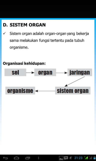 D. SISTEM ORGAN
Sistem organ adalah organ-organyang bekerja
sama melakukan fungsitertentu pada tubuh
organisme,
organisasi kehidupan:
sol > orgrn - iaringan
010anhm0. sl$em 0104n
 
