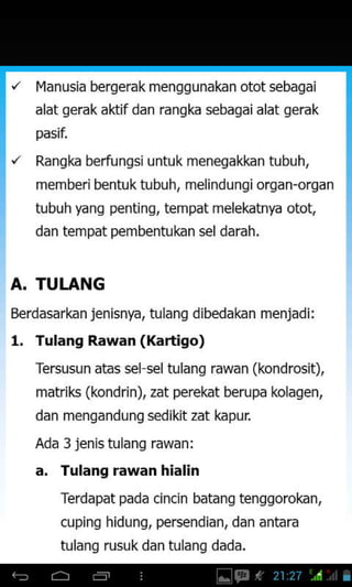 Planusia bergerak mengg unakan otot sebagai
alat qerak aktifdan ranqka sebaqaialat qerak
pasii
Rangka berfungsi untukmenegakkan tubuh,
mem beri bentu k tu buh, melind unq i organ-organ
tubuh yang penting, tempat melekatnya otot,
dan tempat pembentukan seldarah.
Terdapat pada cincin batang tenggorokan,
cuping hidung, persendian, dan antara
tulanq rusuk dan tulang dada.
A. TULANG
Berdasarkan jenisnfa, tulang dibedakan menjadi:
1. Tulang Rawan (Kartigo)
Tersusun atas sel seltulang rawan (kondrosit),
matriks (kondrin), zat perekat berupa kolagen,
dan mengandung sedikit zat kapur
Ada 3 jenis tulang rawan:
a. Tulang rawan hialin
 