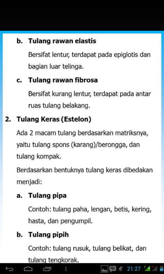b. Tulang rawan elastis
Bersifat lentur, terdapat pada epiglotis dan
bagian luar telinga.
Tulang rawan fibrosa
Bersifat kurang lentur. terdapat pada antar
ruas tulang belakang.
2. Tulang Xeras(Estelon)
Ada 2 macam tulang berdasarkan matriksnya,
yaitu tulang spons (kara ng)/berongga, dan
tulang kompak.
Berdasarkan bentuknya tulang keras dibedakan
menjadii
a. Tulang pipa
Contoh: tulanq paha, lengan, betis, kerinq,
hasta, dan pengumpil.
b. Tulans pipih
Contoh: tulanq rusuk, tulanq belikat, dan
 