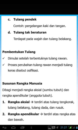 Tulang pendek
Contoh: pergelangan kaki dan tangan.
Tulang tak beraturan
Terdapat pada wajah dan tulanq belakanq.
d.
Pembentukan Tulang
"
Dimulai setelah terbentuknya tulang rawan.
/ Proses perubahan tulang rawan menjaditulang
keras disehut osifi kasi.
Susunan Rangka Manusia
Dibagi menjadirangka aksial (sumbu tubuh) dan
rangka apendikular (anggota tubuh).
l. Rangka aksial ) terdiri atas tulang tengkoralg
tulang belakang, tulang dada, dan rusuk.
2. Rangka ap€ndikular ) terdiri atas rangka atas
 