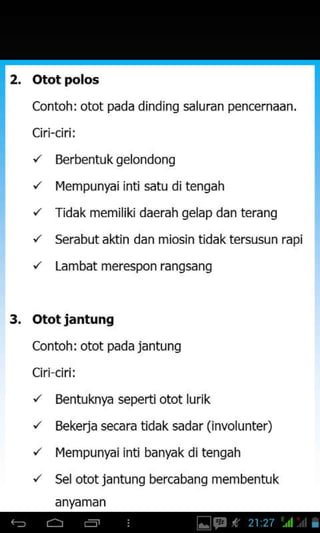 Otot polos
Contoh:otot pada dindinq saluran pencernaan.
,z Berbentuk gelondong
'z l4empunyai inti satu ditengah
'/ Tidak memiliki daerah gelap dan terang
'/ Serabutaldin dan miosin tidaktersusun rapi
'/ Lambat merespon ranqsanq
3. Ototiantung
Contoh: otot pada jantung
Ciriciri:
,' Bentuknya seperti otot lurik
/ Bekerja secara tidak sadar (involunter)
/ I'lempunfaiinti banyak ditengah
/ Selotot jantung bercabang membentuk
anyaman
 
