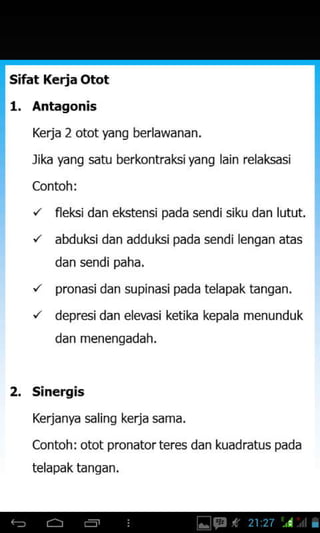 Sifat Kerja Otot
1. Antagonis
Kerja 2 otot yang berlawanan,
lika yang satu berkontraksi yang
, fleksidan eksrensipada sendisiku dan lutut.
'/ abduksidan addukipada sendi lengan atas
dan sendi paha,
'/ pronasidan supinasi pada telapak tangan.
'/ depresidan ele,zsi ketika kepala menunduk
dan menenqadah.
2. sinergis
Kerjanya saling kerja sama.
Contoh i otot pronator teres dan kuadratus pada
telapaktanqan.
 