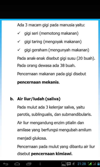 Ada 3 macam gigipada manusia yaitu:
r' gigi seri (memotong makanan)
r' gigi taring (mengoyak makanan)
'/ gigi geraham (mengunyah makanan)
Pada anak-anak disebutgigisusu (20 buah).
Pada orang dewasa ada 38 buah.
Pencernaan makanan pada gigi disebut
p€ncernaan mekanis.
b. Air liur/ludah (saliva)
Pada mulut ada 3 kelenjar sali,€, yaitu
parotiE sublingual js, dan submandibularis.
Ak liur mengandung enzim ptialin dan
amilase yang berfu ngsi mengubah amilum
menjadiglukosa.
Pencernaan pada mulutyang dibantu air liur
disebut pencernaan kimiawi.
 