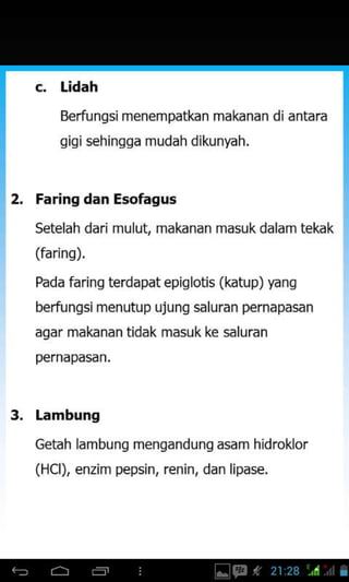 c. Lidah
Berfu ngsi menempatkan makanan
qiqi sehinqqa mudah dikunyah.
Faring dan Esofagus
Setelah darimulut, makanan masuk dalam tekd(
(faring).
Pada faring terdapat epig lotis (katup) yang
berfungsi menufup ujung saluran pernapasan
agar makanan tidak masuk ke saluran
pernapasan,
3. Lambung
Getah lambung mengandung asam hidroklor
(HCl), enzim pepsin, renin, dan lipase.
 
