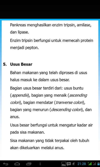 Pankreas menghasilkan enzim tripsin, amilas€,
dan lipase.
Enzim tripsjn berfungsiuntuk memecah protein
menjadi pepton.
5. Usus B€sar
Bahan makanan yang telah diproses diusus
halus masuk ke dalam usus besar
Bagian usus besar terdiri dari: usus buntu
(appendill, bagian Wng menaik (ascending
co/on), bagian mendatat (tranverse co/on),
bagian wng menw1un (descending colon), dan
anu5.
Usus besar berfungsiuntuk mengatur kadar air
pada sisa makanan.
Sisa makanan yang tidak terpakai oleh tubuh
akan dikeluarkan melalui anus.
 