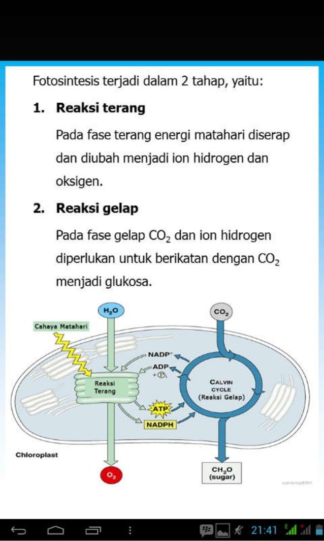 Rangkuman Ipa Biologi 2 Smp