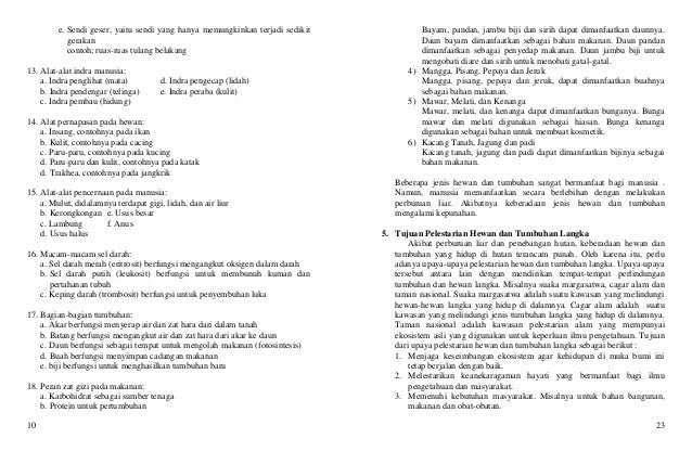 Ringkasan materi ipa kelas 6 sd semester 1